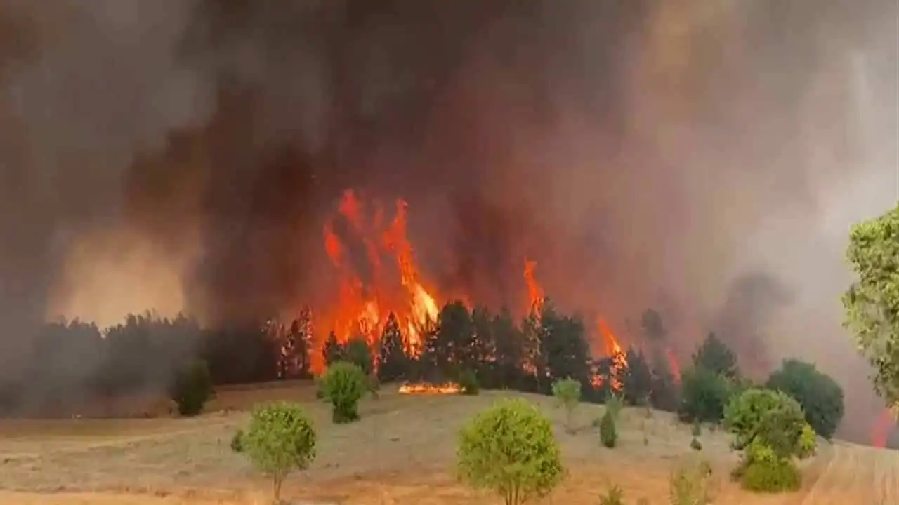 Karabük'te orman yangını: Ekipler müdahale ediyor