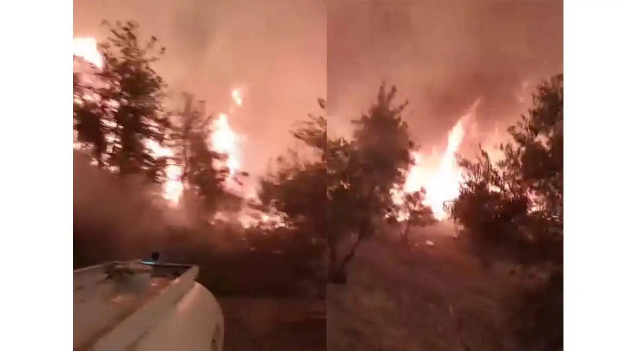 Sakarya’da orman yangını yeniden alevlendi: D650 karayolu trafiğe kapatıldı, yerleşim alanları tehdit altında