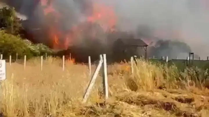 İzmir haber: Torbalı’da korkutan yangın! 8 ev zarar gördü