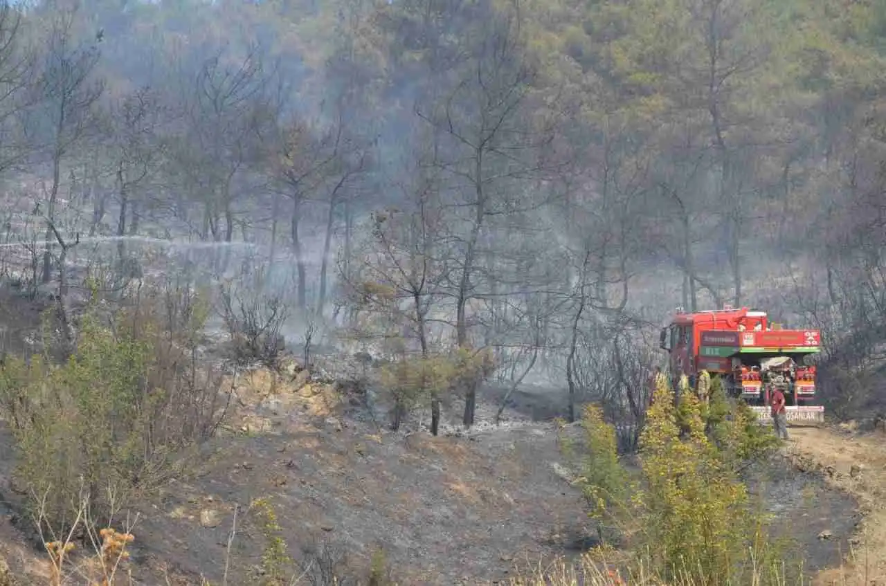 Sakarya-Bilecik sınırındaki orman yangını 24 saat sonra kontrol altına alındı