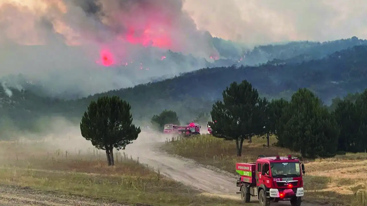 Tabiplerden orman yangını açıklaması: Üzülmeye devam edeceğiz
