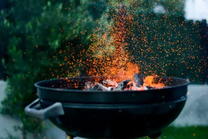 Ankara’da mangal yasağı: 30 Ağustos’a kadar ateşli piknik yasaklandı