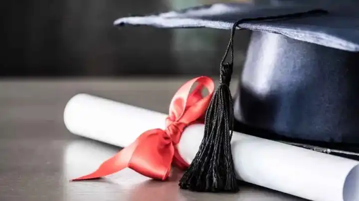 Sahte diploma alırken dolandırıldı: Şikayet edince gündem oldu!