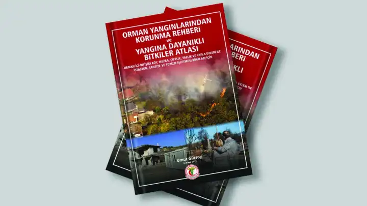 Türk Tabipleri Birliği’nden orman yangınlarına karşı rehber