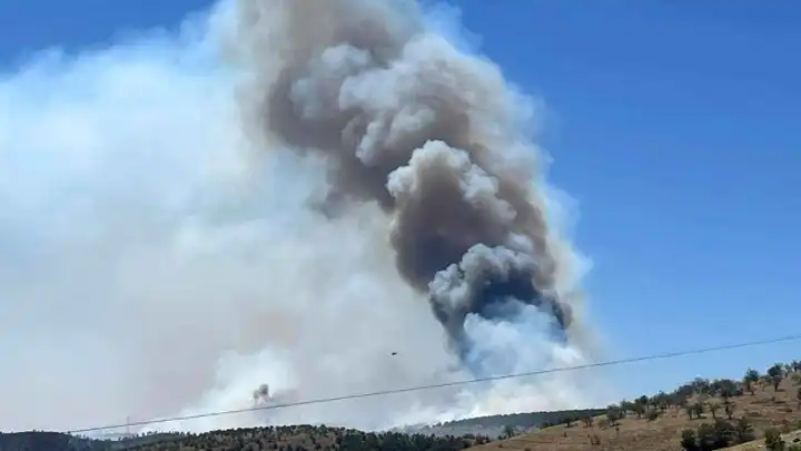 Ankara'da orman yangını!
