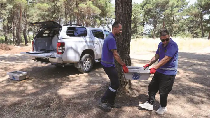 Buca Belediyesi’nden can dostları için hayati hamle