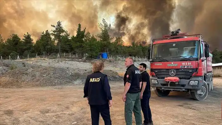 AFAD: Orman yangınlarına binlerce personel ve yüzlerce araçla müdahale ediliyor