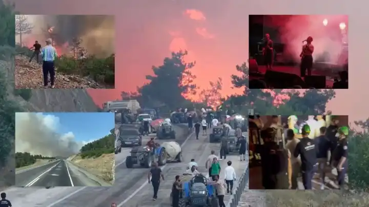Bursa'daki yangınlarda neler yaşandı? Orhaneli, Kestel ve Gürsu yangınlarında son durum...