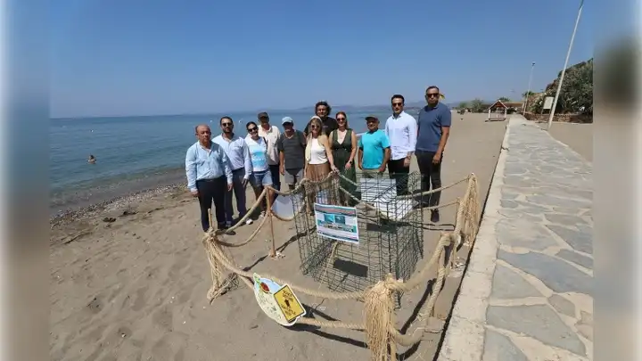Caretta carettalar gözlerini Menderes’te açacak! 