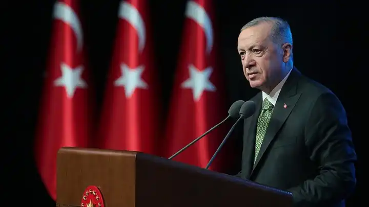 Cumhurbaşkanı Erdoğan: Orman yangınlarına karşı teyakkuz halindeyiz