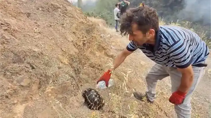 Yangından kurtardığı kaplumbağayı su ile serinletti