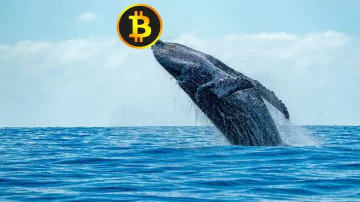 Bitcoin’in en eski balinası uyandı: 2011’de alınan BTC’ler yer değiştirdi!
