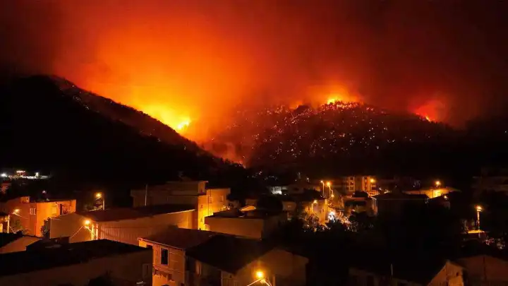 Bursa'da orman yangını: Sabotaj ihtimali gündemde