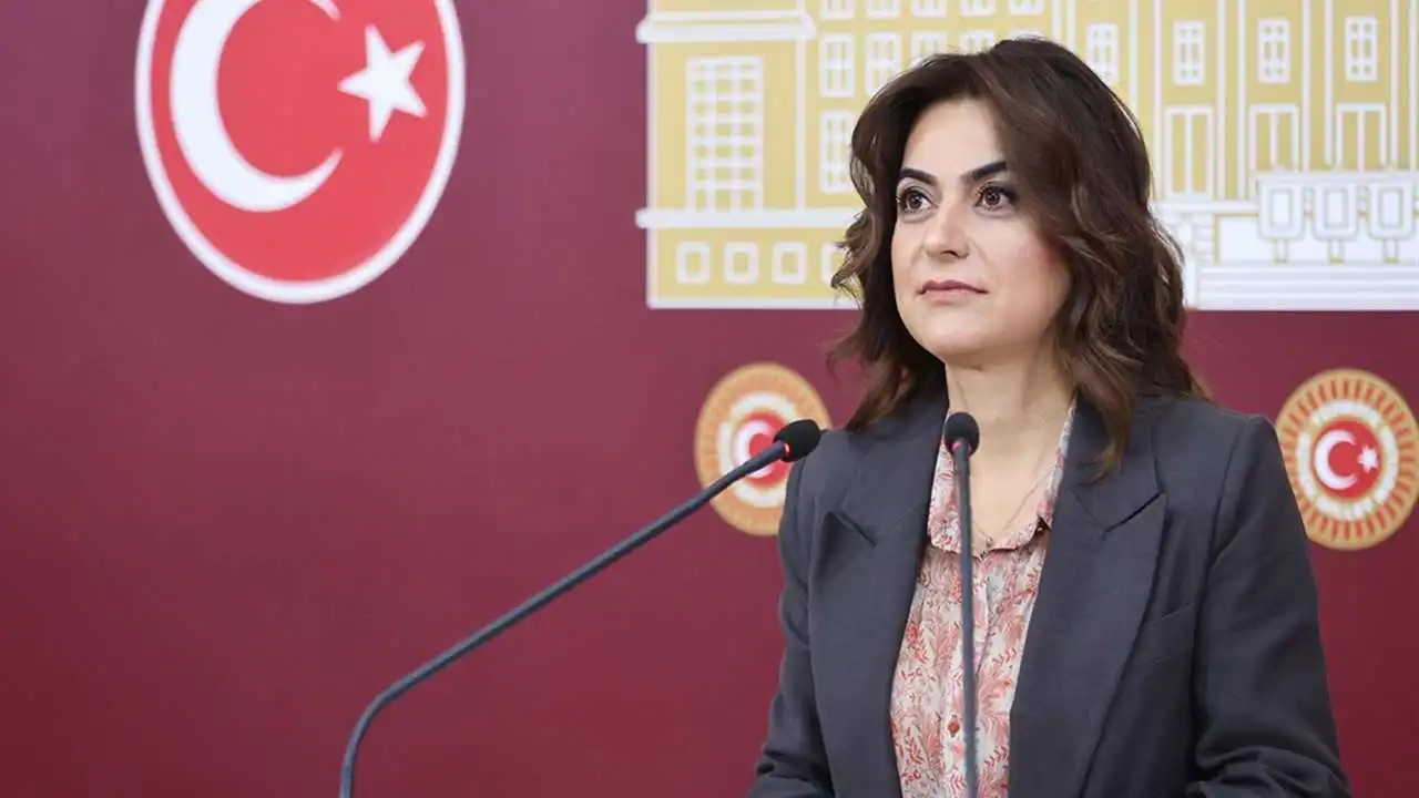 DEM Parti'li Koçyiğit: Komisyon demokratikleşme ve barış perspektifi içermeli