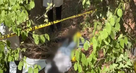 Sarıyer'de korkunç cinayet: Ormanlık alanda bulundu!