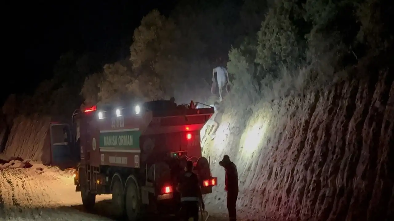 Turgutlu'da orman yangını : Büyümeden söndürüldü!
