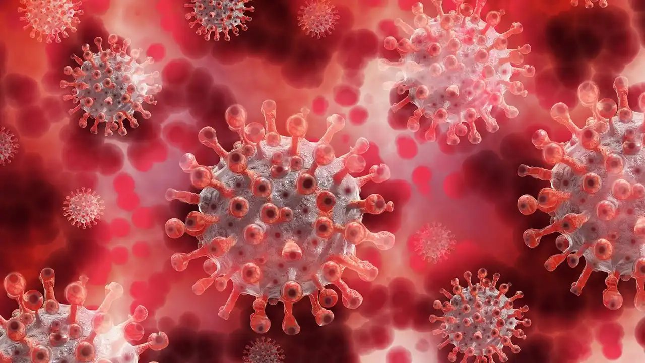 Türk Eczacıları Birliği’nden hepatit uyarısı 