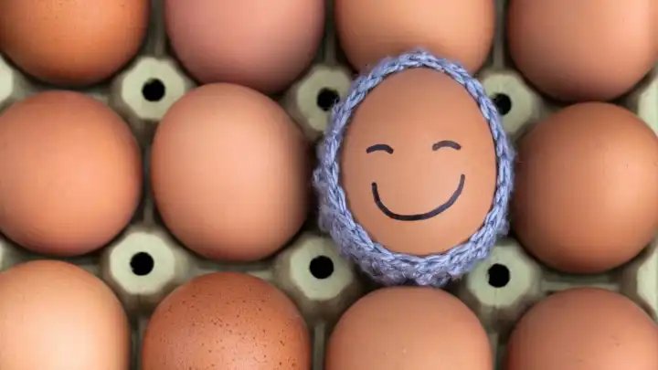 Hangi yumurtayı seviyorsun? Kişiliğinizi kahvaltı tercihiniz ele veriyor!
