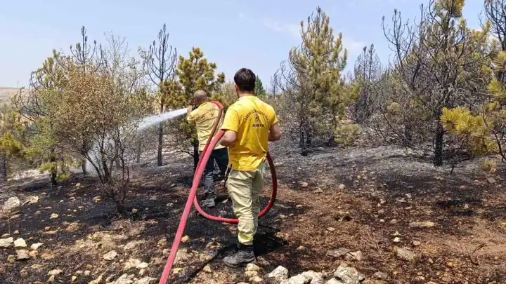 Amasya’da orman yangını: 3 hektar alan zarar gördü
