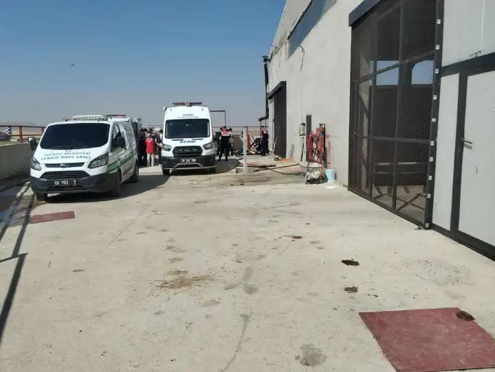 Besi çiftliğinde metan gazından zehirlenmesi: 2 işçi hayatını kaybetti