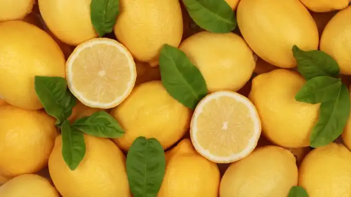 Sivrisinekler neden limon kokusuna yaklaşamıyor? yazın en doğal koruması evdeki bu mucize!