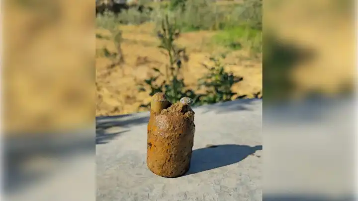 Manisa'da korku dolur anlar!