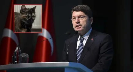 Bakan Tunç: Başakşehir’de kediye şiddet soruşturması başlatıldı
