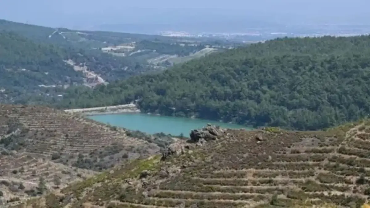 İzmir’in kara lekesi yeşerdi: 6 yılda 6,6 milyon fidanla dev orman yeniden doğdu haberinin görseli