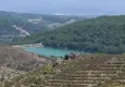 İzmir’in kara lekesi yeşerdi: 6 yılda 6,6 milyon fidanla dev orman yeniden doğdu