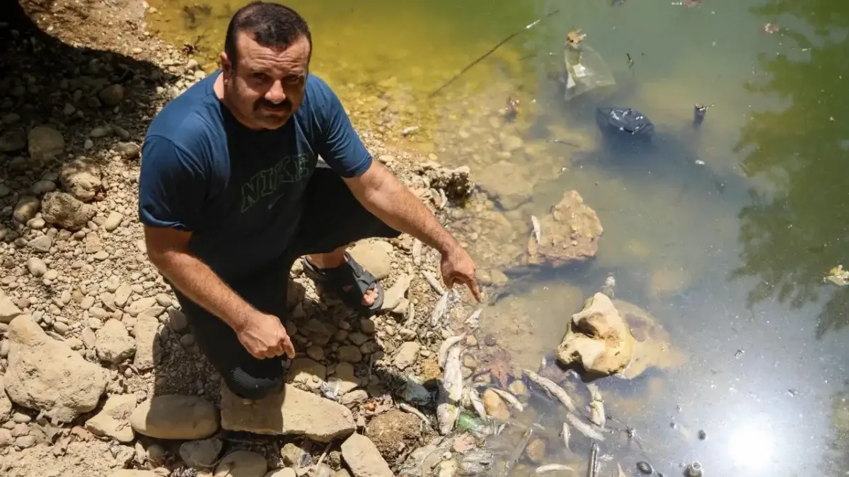 Kuraklık ve kirlilik birleşti, balıklar öldü: Antalya’da dere yaşamını kaybediyor haberinin görseli