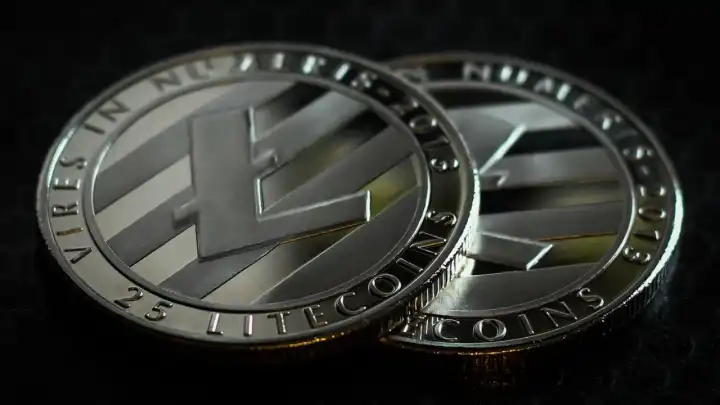 Altcoin dünyasında şok hareket! Litecoin’de neler oluyor?
