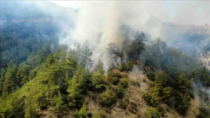Karabük ve Denizli’de orman yangınları