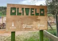 İzmir’in doğa cenneti Olivelo Yaşayan Park’ta neler yapılır?