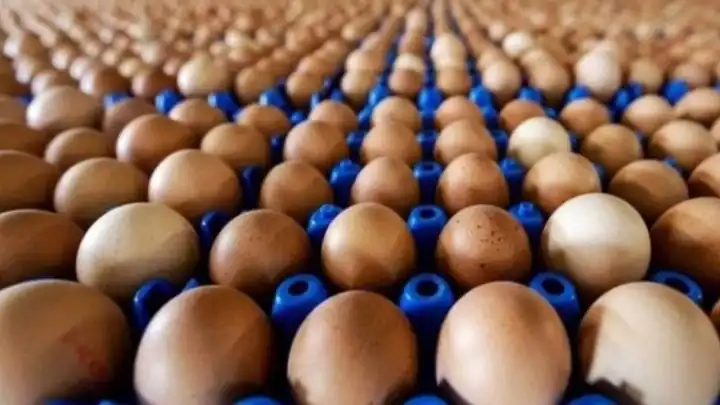 Kahverengi yumurta tarihe mi karışıyor? Marketlerde beyaz yumurta fırtınası!