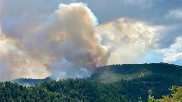 Karabük’te kontrol altına alınan orman yangını yeniden başladı