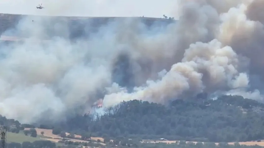 Çanakkale’de korkutan yangın: Alevler hastaneye yaklaştı, boğaz trafiğe kapatıldı! haberinin görseli