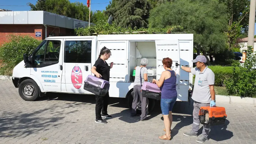 Narlıdere Belediyesi’nden sokak kedileri için kısırlaştırma seferberliği