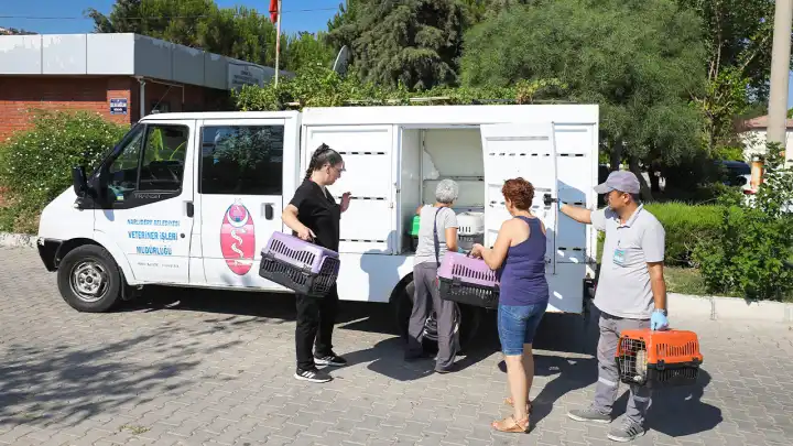 Narlıdere Belediyesi’nden sokak kedileri için kısırlaştırma seferberliği