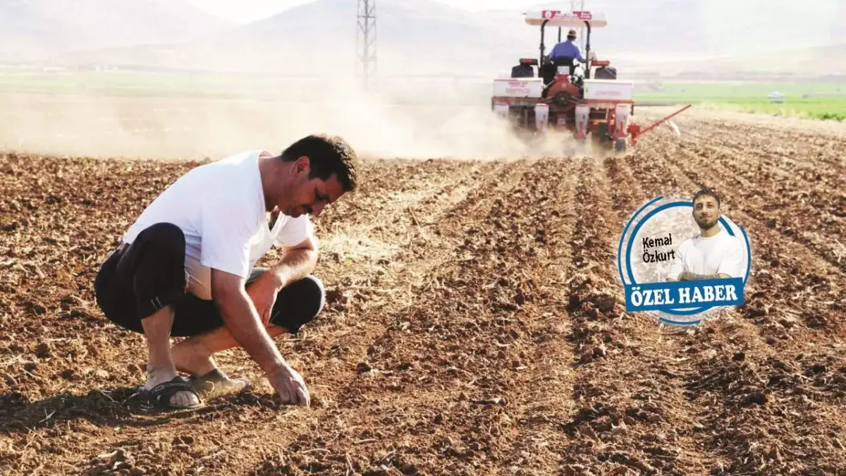 Tarımda yeni paket: Çözüm değil çelişki