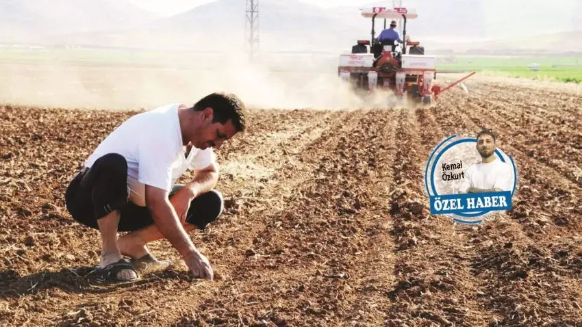 Tarımda yeni paket: Çözüm değil çelişki haberinin görseli