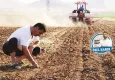 Tarımda yeni paket: Çözüm değil çelişki