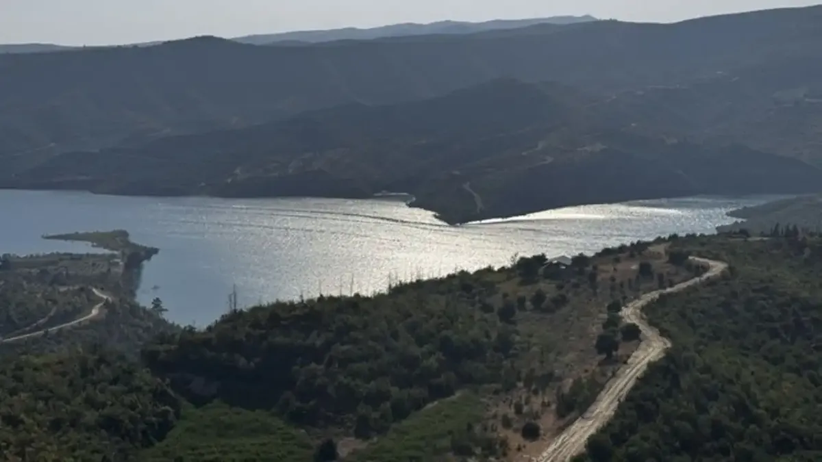 Manavgat yangınının üzerinden 4 yıl geçti: Küllerinden doğan orman yeşil tonlara büründü haberinin görseli