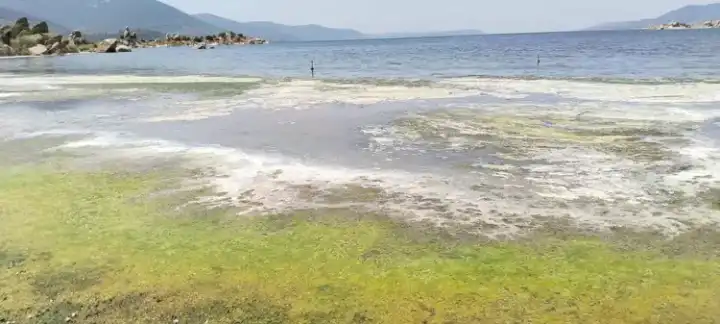 bafa gölü