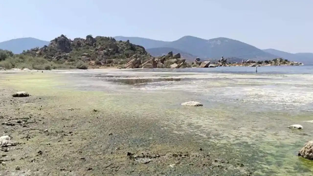 Bafa Gölü’nde suyun çekilmesi ve kirlilik kötü kokulara yol açtı
