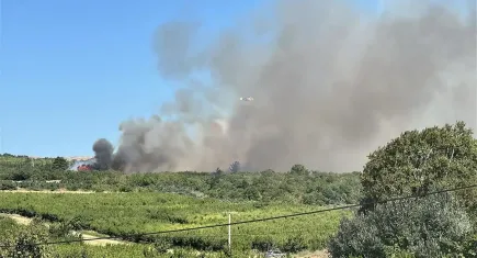 Çanakkale Lapseki’de orman yangını!