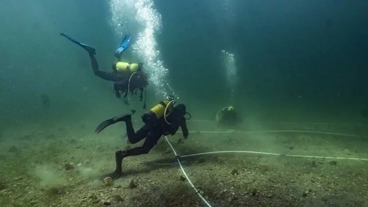 Marmara Denizi'nde müsilajla mücadeleye pina ve deniz çayırları desteği haberinin görseli
