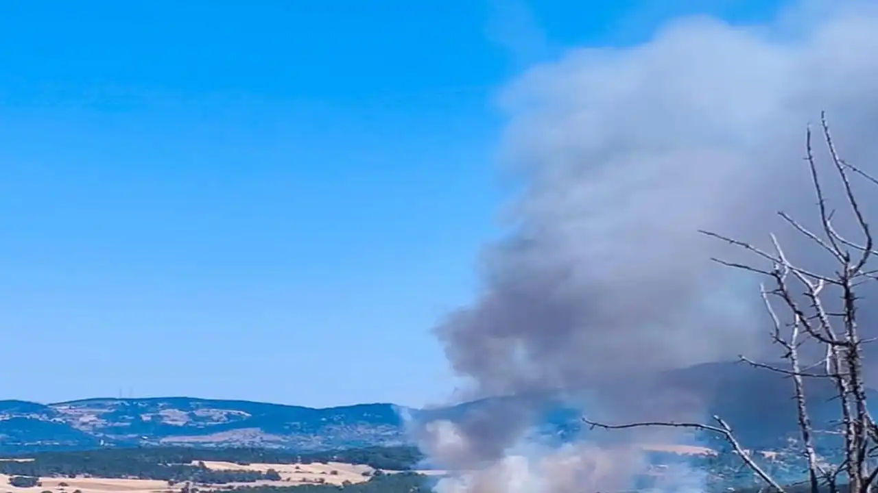 Bolu'da orman yangını: 3 yangın söndürme helikopteri müdahale ediyor
