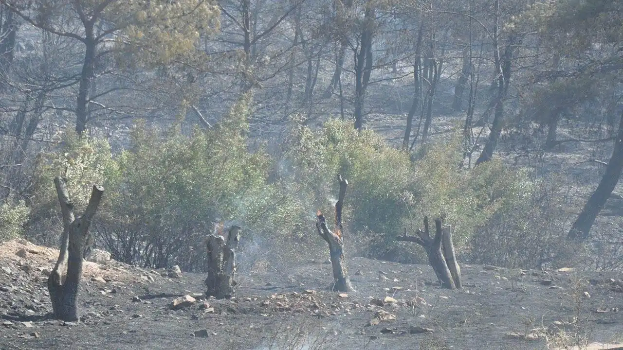 Manisa'da bir yangın daha! Şehzadeler yanıyor