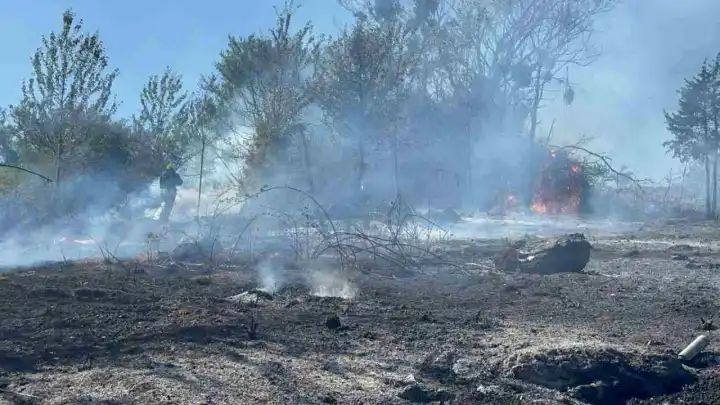 Bolu’da orman yangını: Yerleşim yerleri tehdit altında