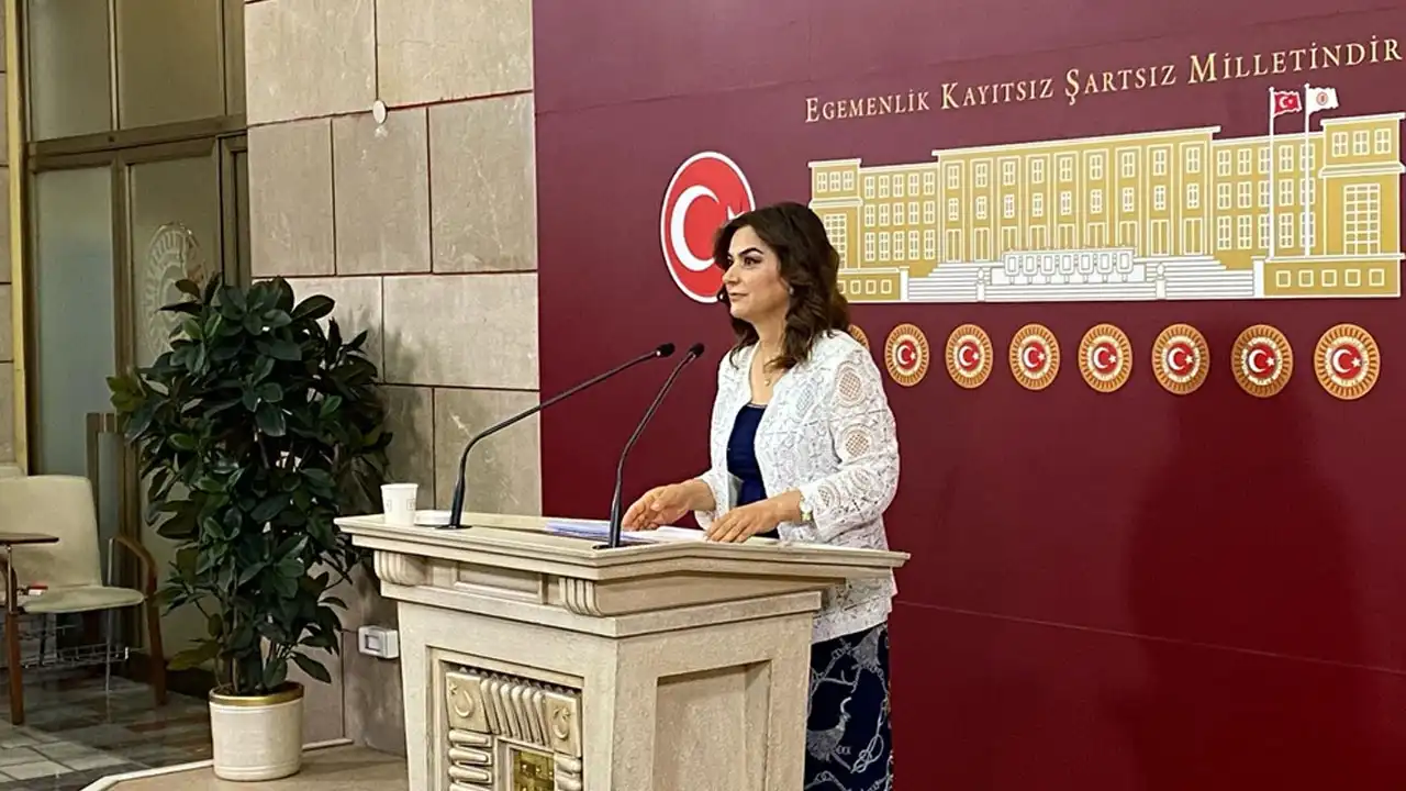 DEM Parti'den komisyon açıklaması!